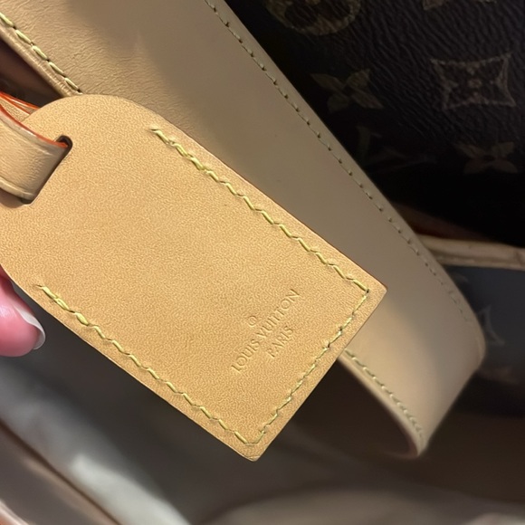 LV Carryall PM Bag - Picture 15 of 17